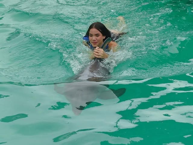 Nado con Delfines Waterland Mundo Marino — foto 3
