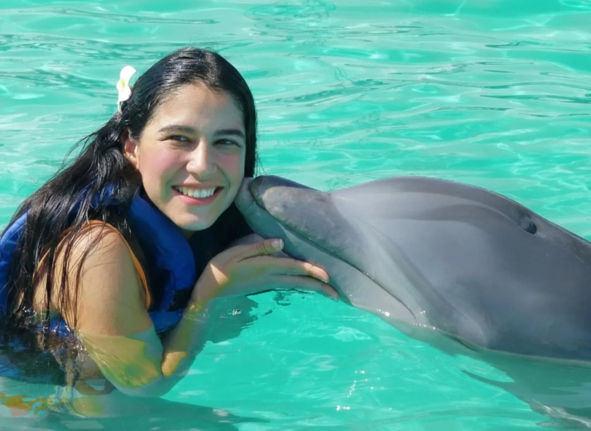 Nado con Delfines Waterland Mundo Marino