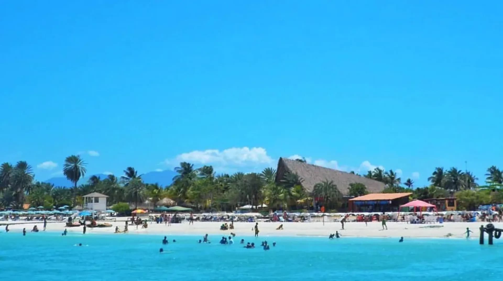 Full Day Coche Paradise