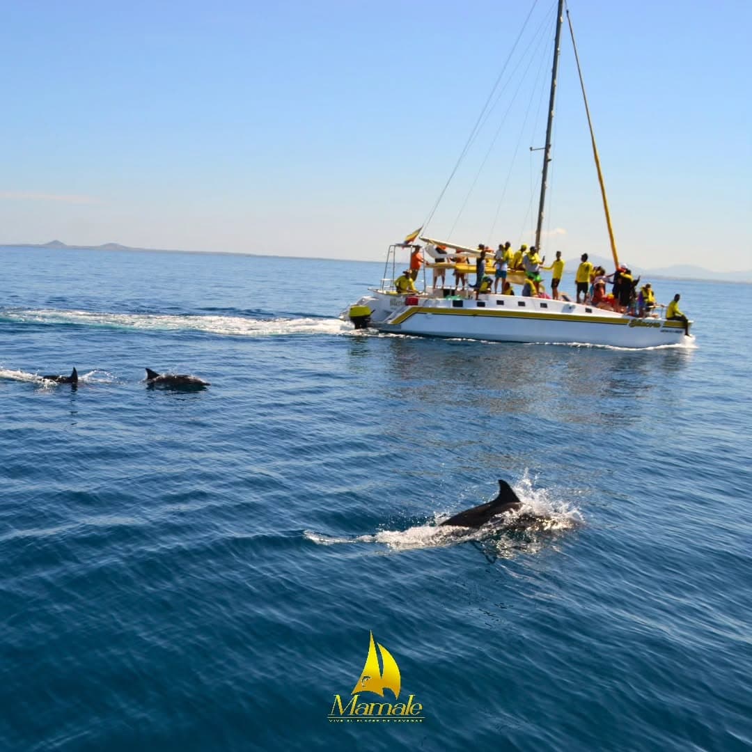 FullDay a Cubagua en Catamarán Mamalé — foto 2