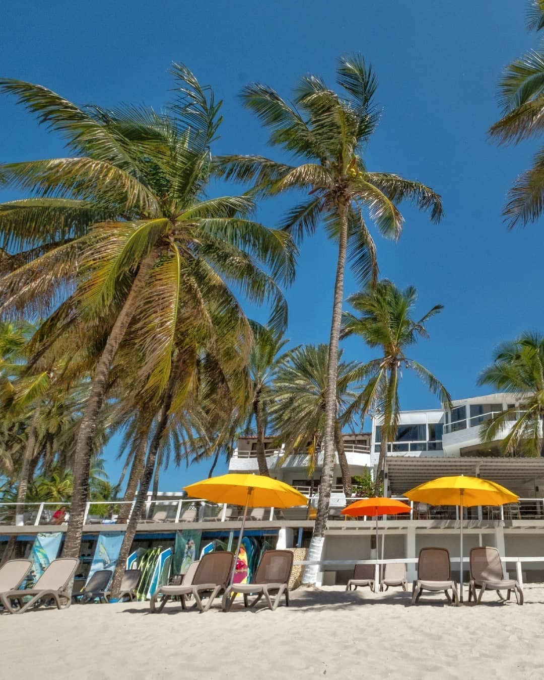 Surf Paradise — foto 4