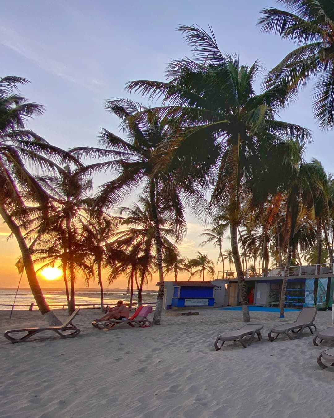 Surf Paradise — foto 5