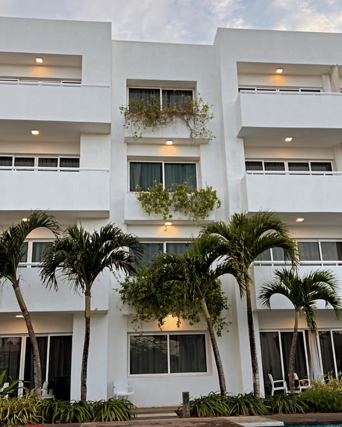 LD Plus Palm Beach — foto 4