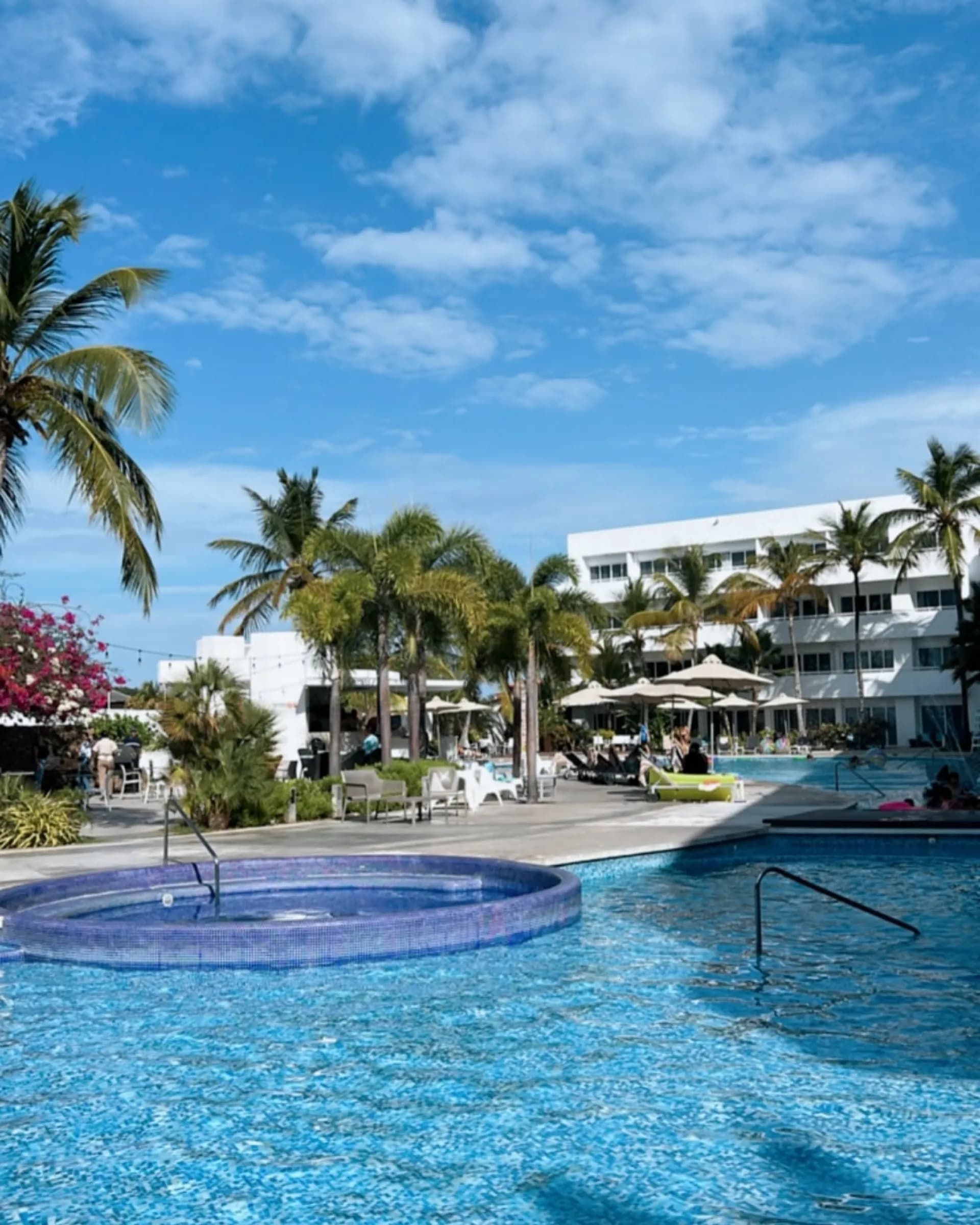 LD Plus Palm Beach