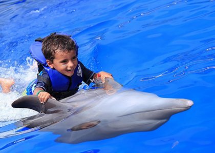 NADO CON DELFINES